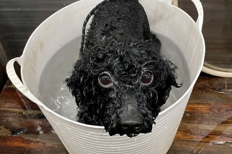 温浴したよ～🛁*。
